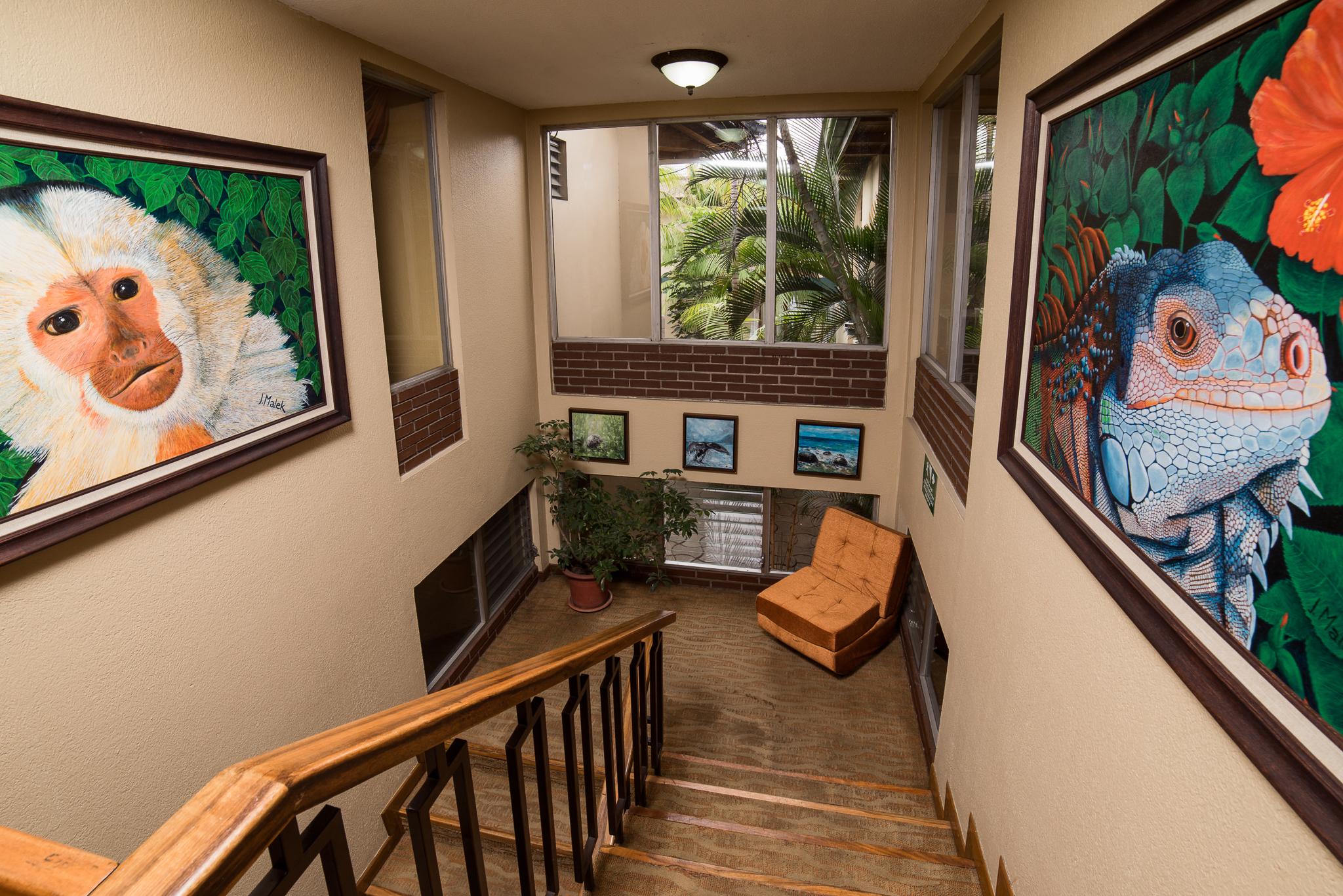 Hotel Villa Tournon サンホセ エクステリア 写真